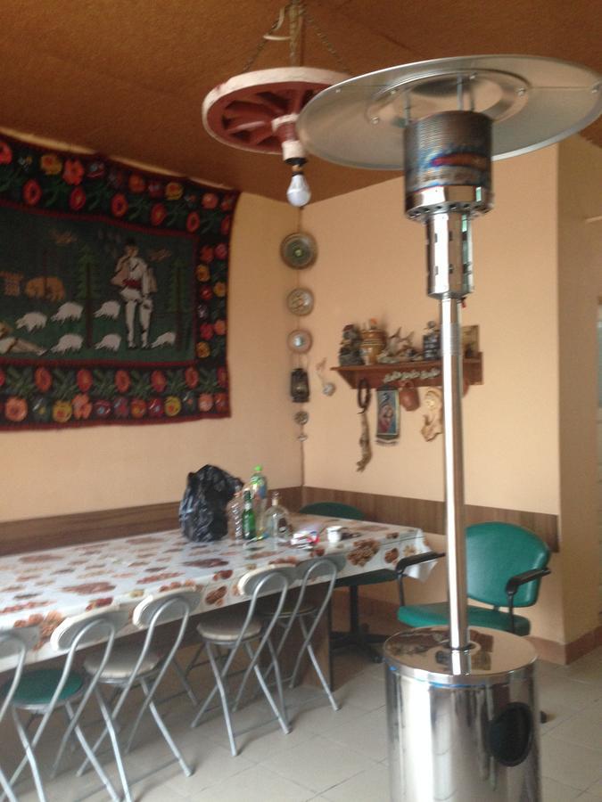 Casa Lidia Si Gogu Hotel Budeasa Mare Ngoại thất bức ảnh